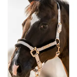Cabestro para caballos Cavallo Cavalucile image-2