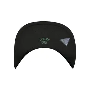 Gorra Cayler & Sons WL No Brainer image-4