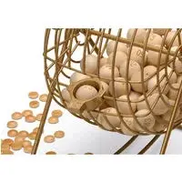 Giochi da tavolo versione in legno del gioco del bingo Cayro image-1