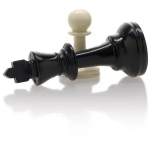 Chess piece n°3 with wooden case Cayro image-2