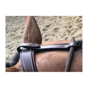 Coleira de caça de cinco pontos e martingale para cavalos Jump'In image-3