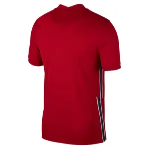 Maillot Domicile Norvège 2020 image-1