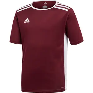 Dětské tričko adidas Entrada image-1