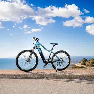 Elektrofahrrad Cecotec Avanti image-4