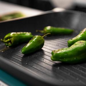 Spis Cecotec Platinum 28 grill image-5