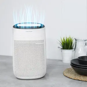 Αφυγραντήρας Cecotec BigDry 2500 image-3