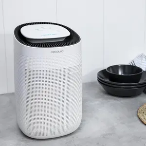 Αφυγραντήρας Cecotec BigDry 2500 image-4
