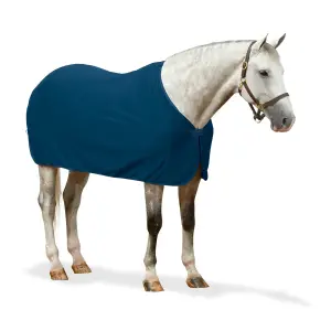 Drying Rug for Horse with Braid Centaur Turbo