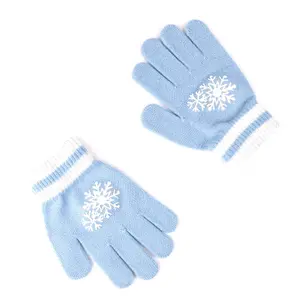 Hat with Gloves for Kids Cerda Disney Frozen Elsa image-2