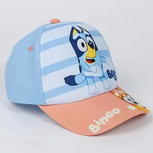 Lunettes de soleil et casquette enfant Cerda Bluey image-1