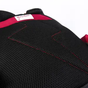 Plecak szkolny dla dzieci Cerda Harry Potter image-6