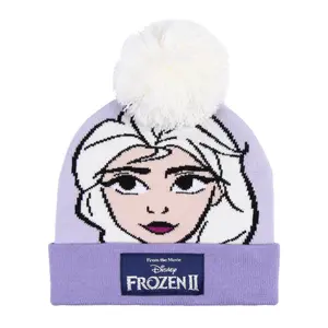 Children's punto hat Cerda Frozen II image-0