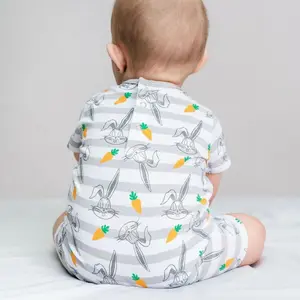 Baby boy romper Cerda Looney Tunes Piolin image-1