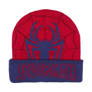 Children's punto hat Cerda Spiderman image-0
