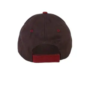 Children's cap Cerda Harry Potter image-1