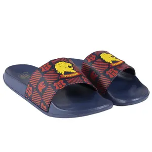Tap shoes Cerda Harry Potter image-0