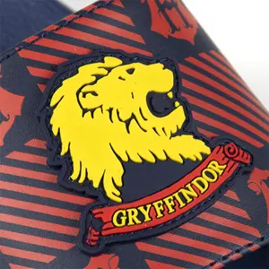 Tap shoes Cerda Harry Potter image-3