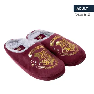 Women's open slippers Cerda Harry potter image-1