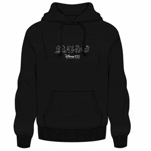 Sweatshirt Cerda Disney 100th Anniversary (x16) image-0