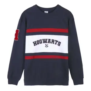Brushed cotton sweatshirt Cerda Harry Potter image-0