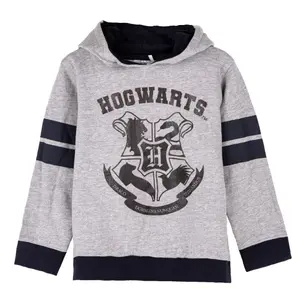 Sweatshirt à capuche coton brossé enfant Cerda Harry Potter