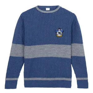 Pull tricoté tricot Cerda Harry Potter