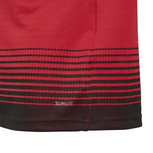 Maillot Domicile enfant manches longues Manchester United 2018/19 image-1