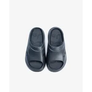 Slides Chabrand image-1