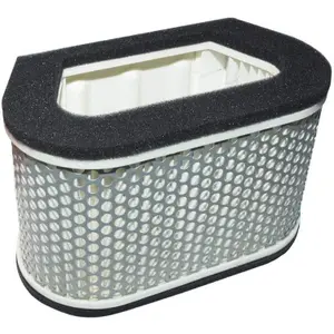 Luftfilter Champion Y325/301 Idem HFA4907 image-0