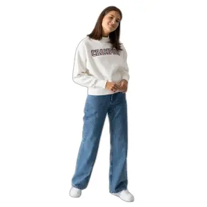 Sudadera de mujer Champion Rochester College Of Colors image-3