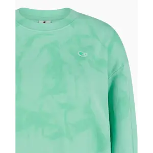 Sudadera de mujer Champion Rochester C-Wash image-2