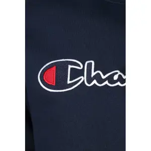 Hooded sweatshirt Champion Rochester Logo image-2