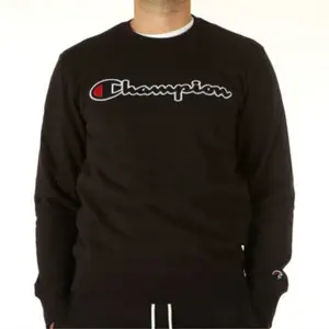 Sudadera con capucha Champion Rochester Logo image-1
