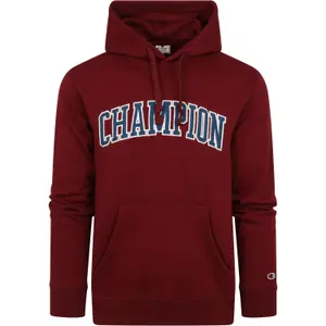 Sudadera Champion Rochester Bookstore image-0