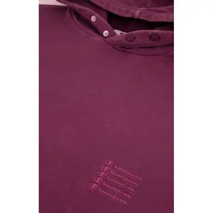 Sudadera Champion Rochester Urban Leisure image-3