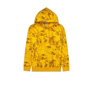 Sudadera con capucha Champion Rochester Urban Leisure image-0