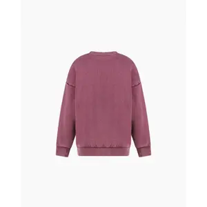 Sweatshirt child Champion Rochester Urban Leisure image-1