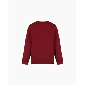 Sweatshirt child Champion Rochester image-1