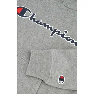 Sweatshirt child Champion Rochester image-3