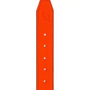 Belt Champro Classic image-3