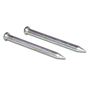 Spare Tip Champro image-0