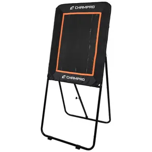 Rebound Net and Target Champro image-0