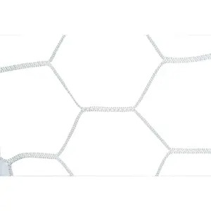 Hexagonal Football Net Champro PE