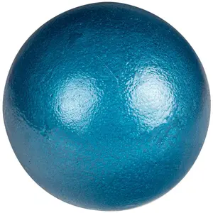 Cast Iron Throwing Weight Champro image-0
