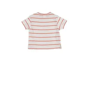Baby T-shirt Charanga Cistosa image-3