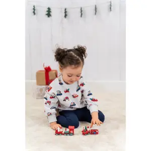 Baby sweater Charanga Jomescu image-1