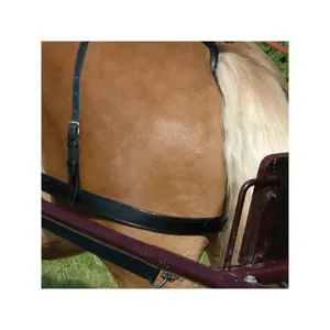 Thigh strap for horse Chetak