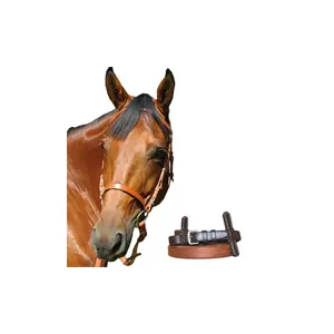 111108-newmarket-gebissloser-zaum-chetak-newmarket-cob