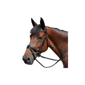 Cabeçadas, planas, forradas Chetak image-0