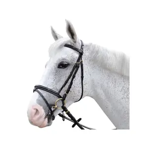 Bridons équitation Chetak Bright image-0